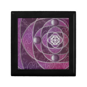 Nautilina Gift Box