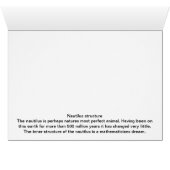 Nautilus 2 cards (Inside Horizontal (Bottom))
