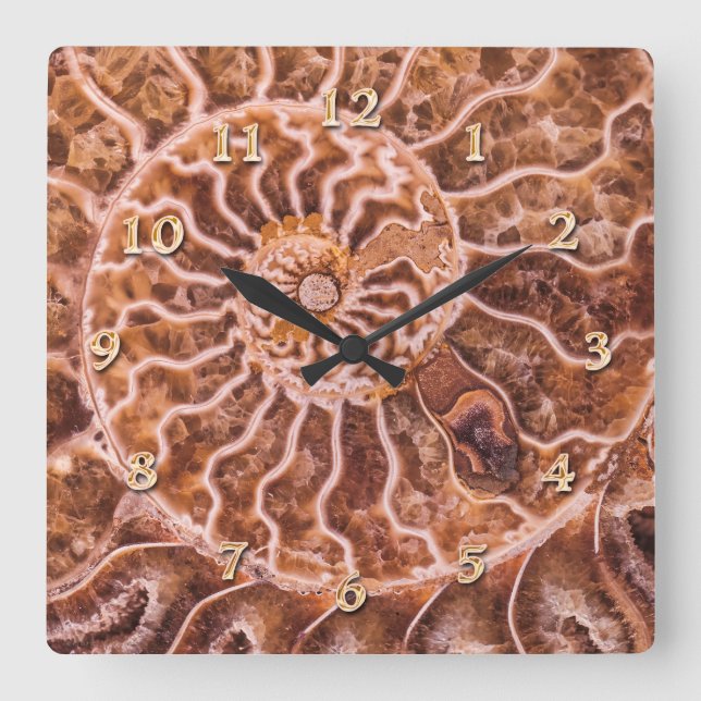 NAUTILUS ANCIENT SPIRAL SQUARE WALL CLOCK (Front)