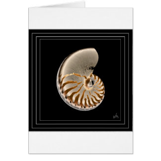 nautilus cards