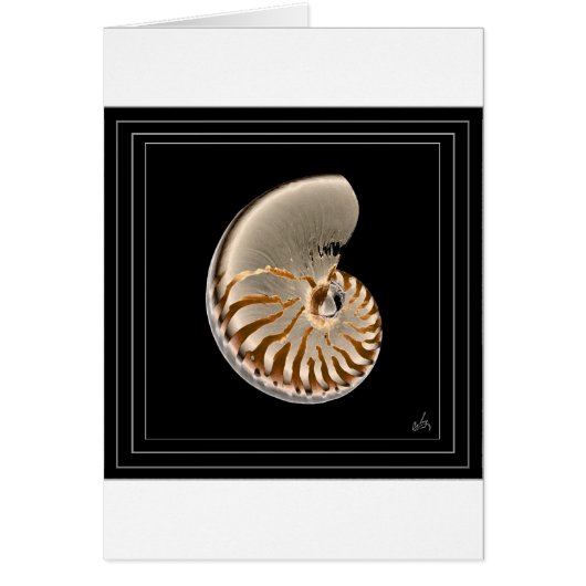 nautilus cards (Front)