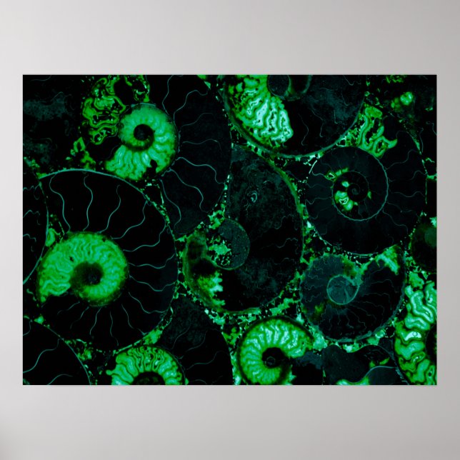 Nautilus green shell, scared geometry  poster (Front)