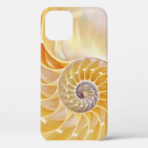 Nautilus iPhone case