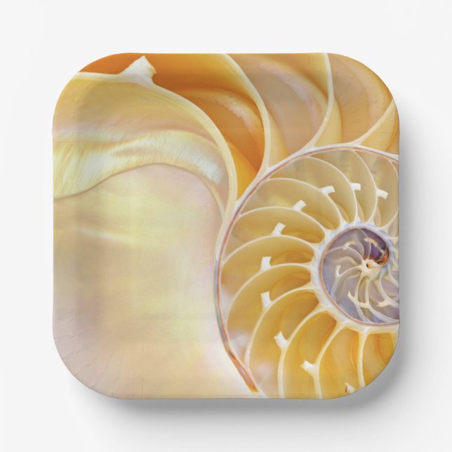 Nautilus Paper Plate (Front)