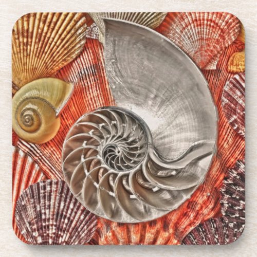 Nautilus Sea Shell Drink Coaster