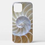 Nautilus Sea Shell Photograph iPhone 12 Pro Case