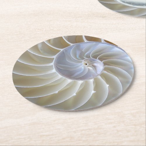 Nautilus Sea Shell Photograph Round Paper Coaster