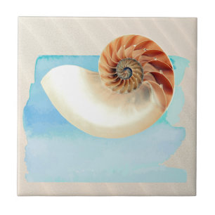 Nautilus Seashell and Sand  Ceramic Tile