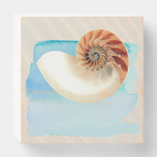 Nautilus Seashell and Sand  Wooden Box Sign (Front Horizontal)