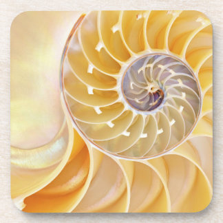 Nautilus Seashell Beverage Coaster