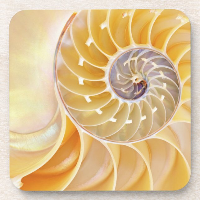 Nautilus Seashell Beverage Coaster (Front)