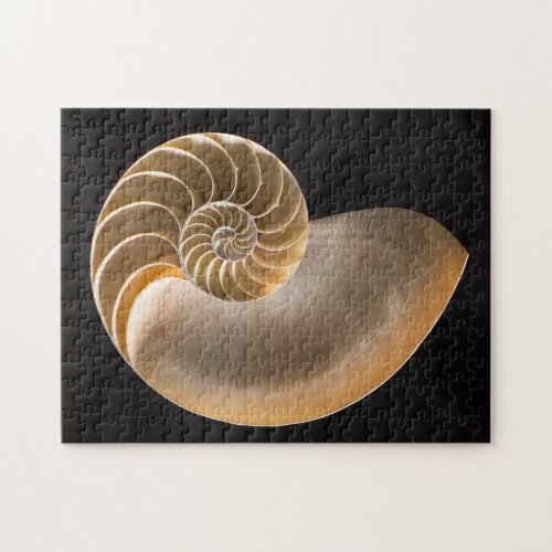 Nautilus Seashell Jigsaw Puzzle