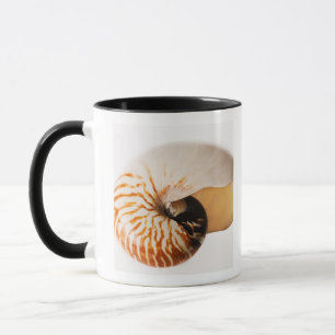 Nautilus seashell (Nautilus stenomphalus) Mug