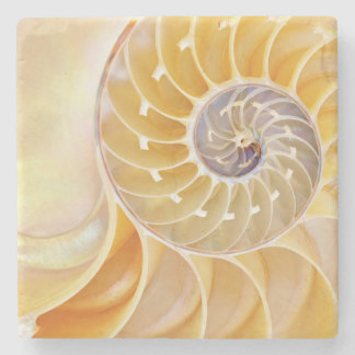 Nautilus Seashell sandstone Coaster