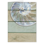 Nautilus Shell (Front)