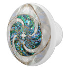 Nautilus Shell - Abalone and Pearl