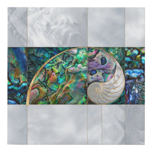 Nautilus Shell - Abalone and Pearl Faux Canvas Print (Front)