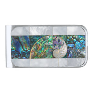 Nautilus Shell - Abalone and Pearl Silver Finish Money Clip