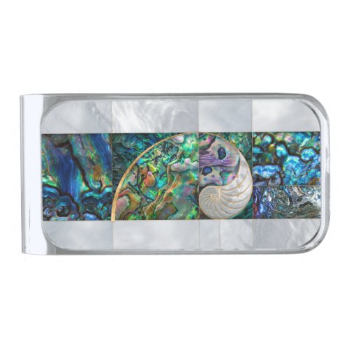 Nautilus Shell _ Abalone and Pearl Silver Finish Money Clip