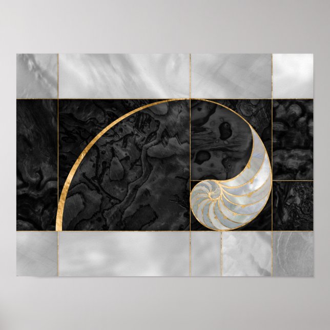 Nautilus Shell - Black Abalone and Pearl Poster (Front)