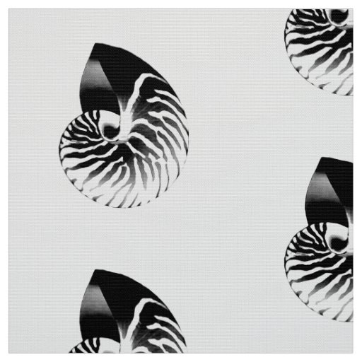 Nautilus Shell - black and white Fabric