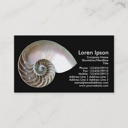 Nautilus Shell - Black Business Cards