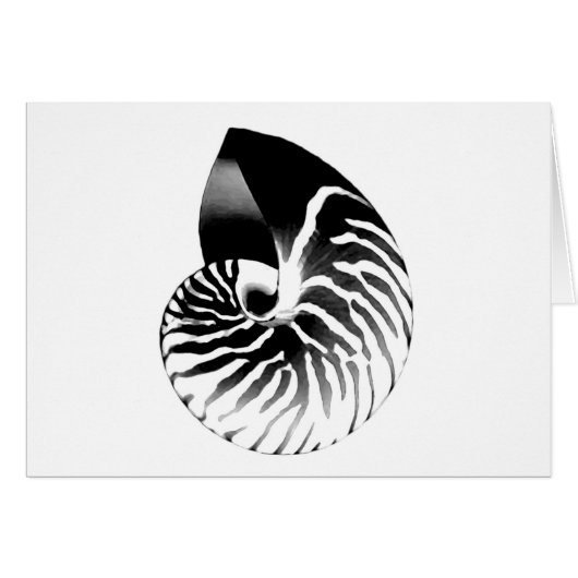 Nautilus shell - black, grey and white cards (Front Horizontal)