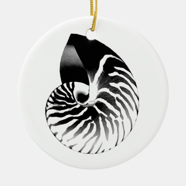 Nautilus shell - black, grey and white ceramic ornament (Front)