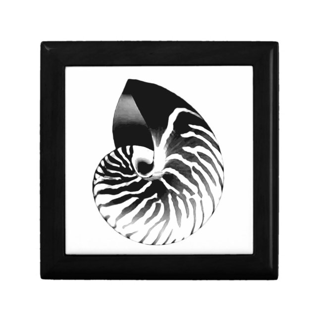 Nautilus shell - black, grey and white keepsake box (Front)