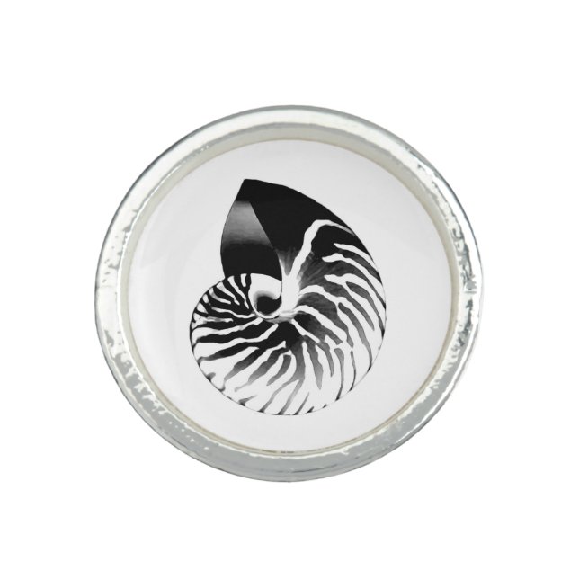 Nautilus shell - black, grey and white ring (Front)
