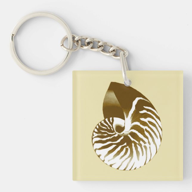 Nautilus shell - brown, white and beige keychain (Front)