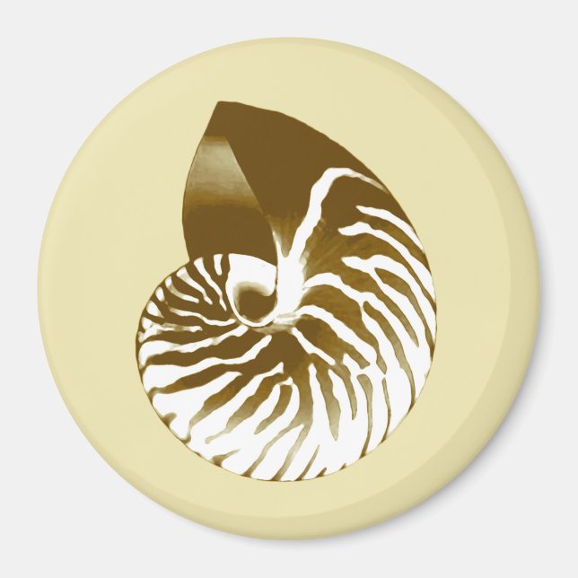 Nautilus shell - brown, white and beige magnet (Front)