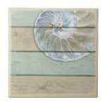 Nautilus Shell Ceramic Tile<br><div class="desc">Nautilus shell on distressed wood background.</div>