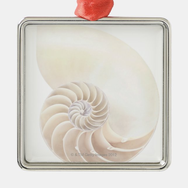 Nautilus shell, close-up metal ornament (Front)