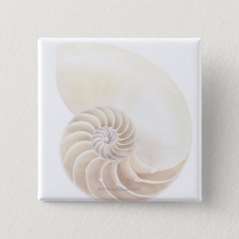 Nautilus Shell  Close-up Pinback Button by prophoto at Zazzle