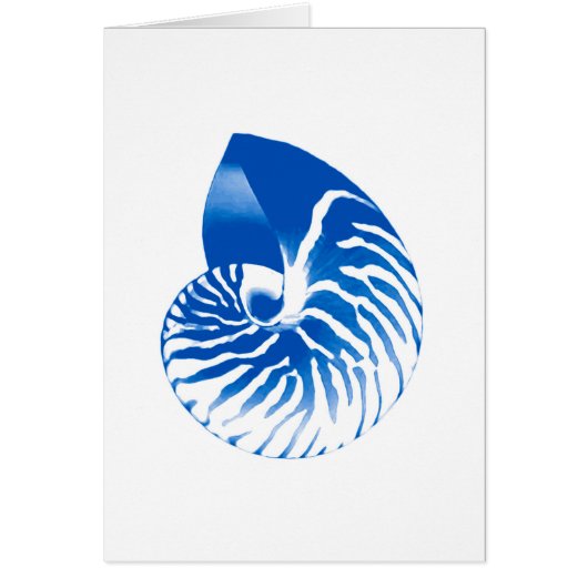 Nautilus shell - cobalt blue and white cards (Front)