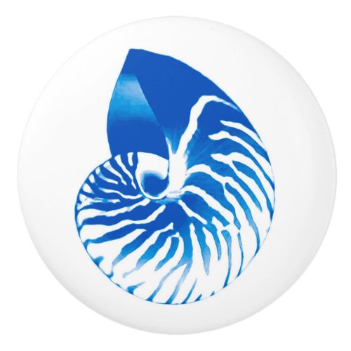 Nautilus shell _ cobalt blue and white ceramic knob