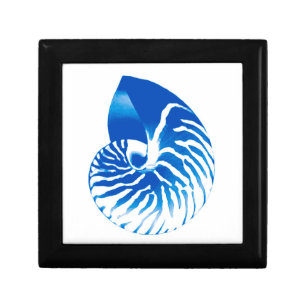 Nautilus shell - cobalt blue and white gift box
