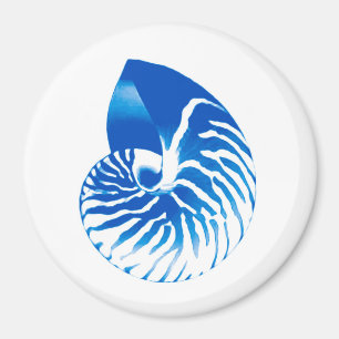 Nautilus shell - cobalt blue and white magnet
