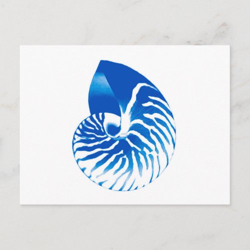 Nautilus shell _ cobalt blue and white postcard