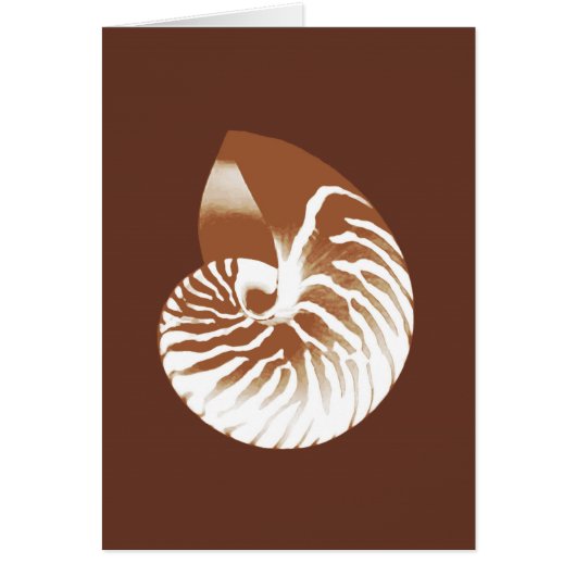 Nautilus shell - cocoa brown and white cards (Front)