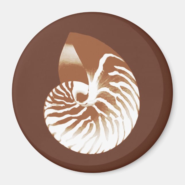 Nautilus shell - cocoa brown and white magnet (Front)