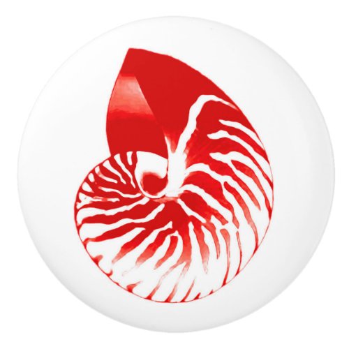 Nautilus shell _ dark red and white ceramic knob