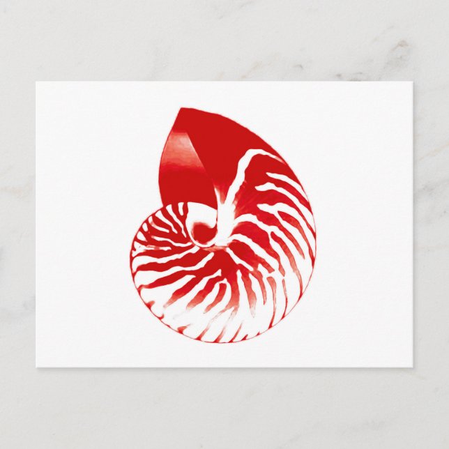 Nautilus shell - dark red and white postcard (Front)