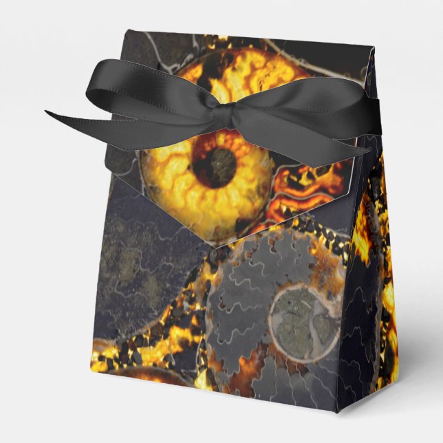 Nautilus shell design favor boxes (Front Side)