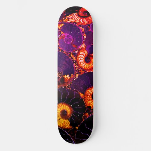 Nautilus shell design skateboard deck