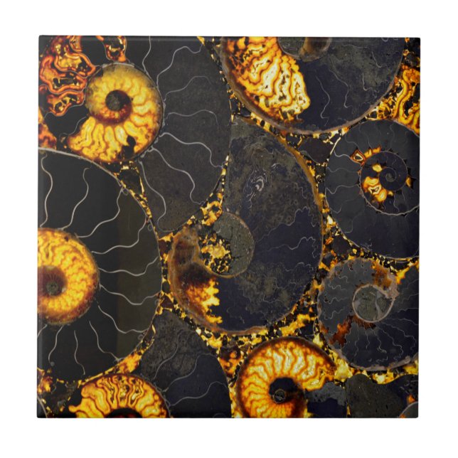 Nautilus shell design tile (Front)