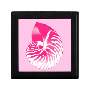Nautilus shell - fuchsia pink and white keepsake box