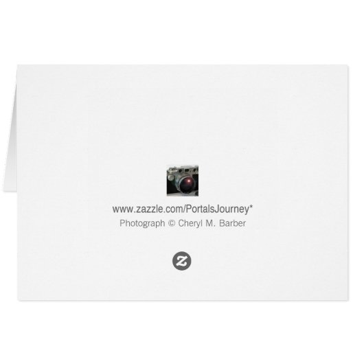 Nautilus Shell Golden Spiral Photograph (Back Horizontal)