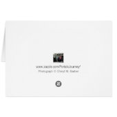 Nautilus Shell Golden Spiral Photograph Cards (Back Horizontal)